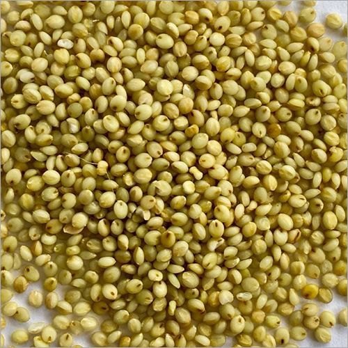 Millet brun